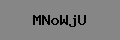 Captcha Verification
